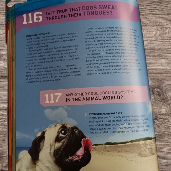 Book Of Answers - Picture 9 of 12